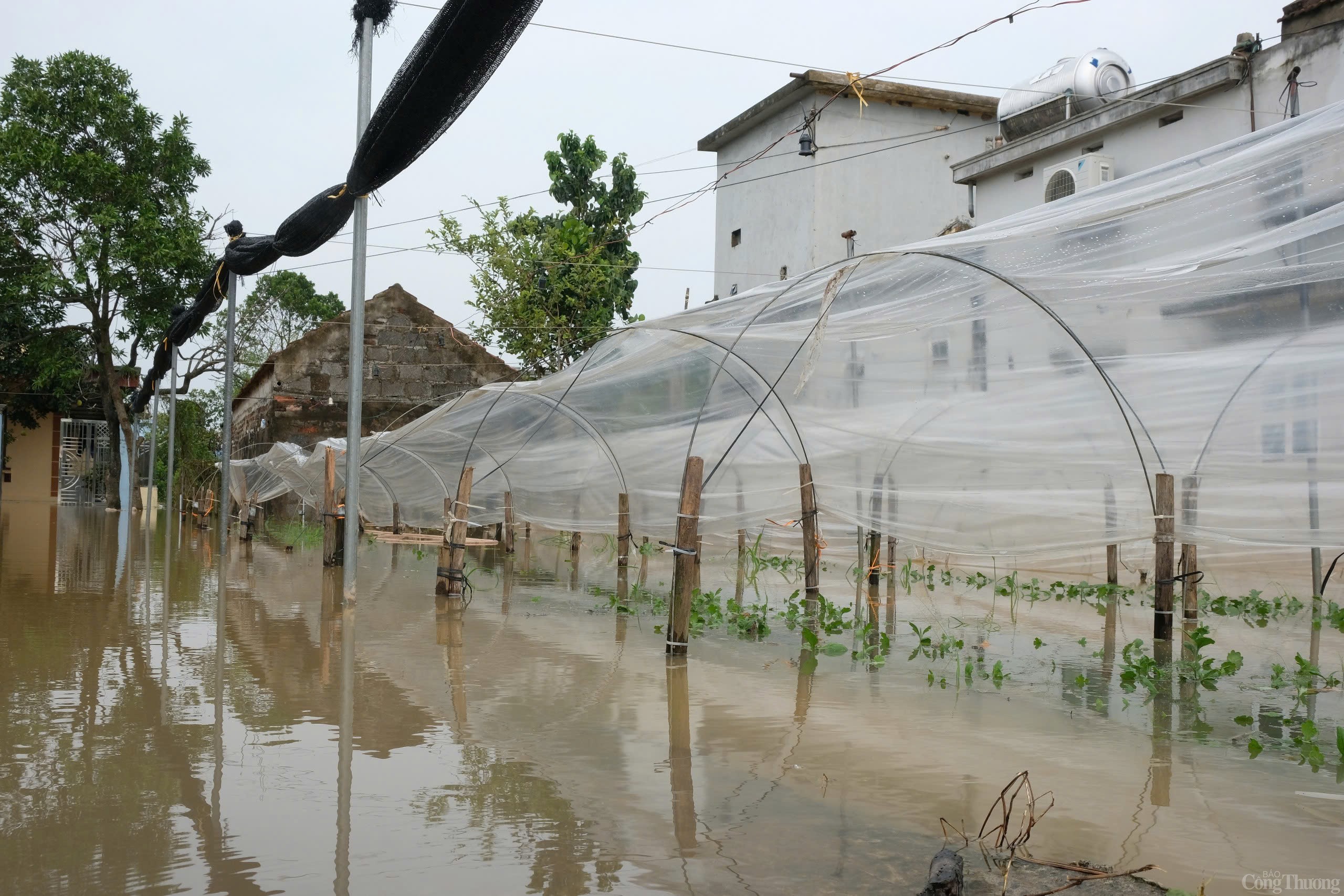 Phó Thủ tướng Trần Hồng Hà kiểm tra công tác phòng chống lũ lụt tại Nam Định