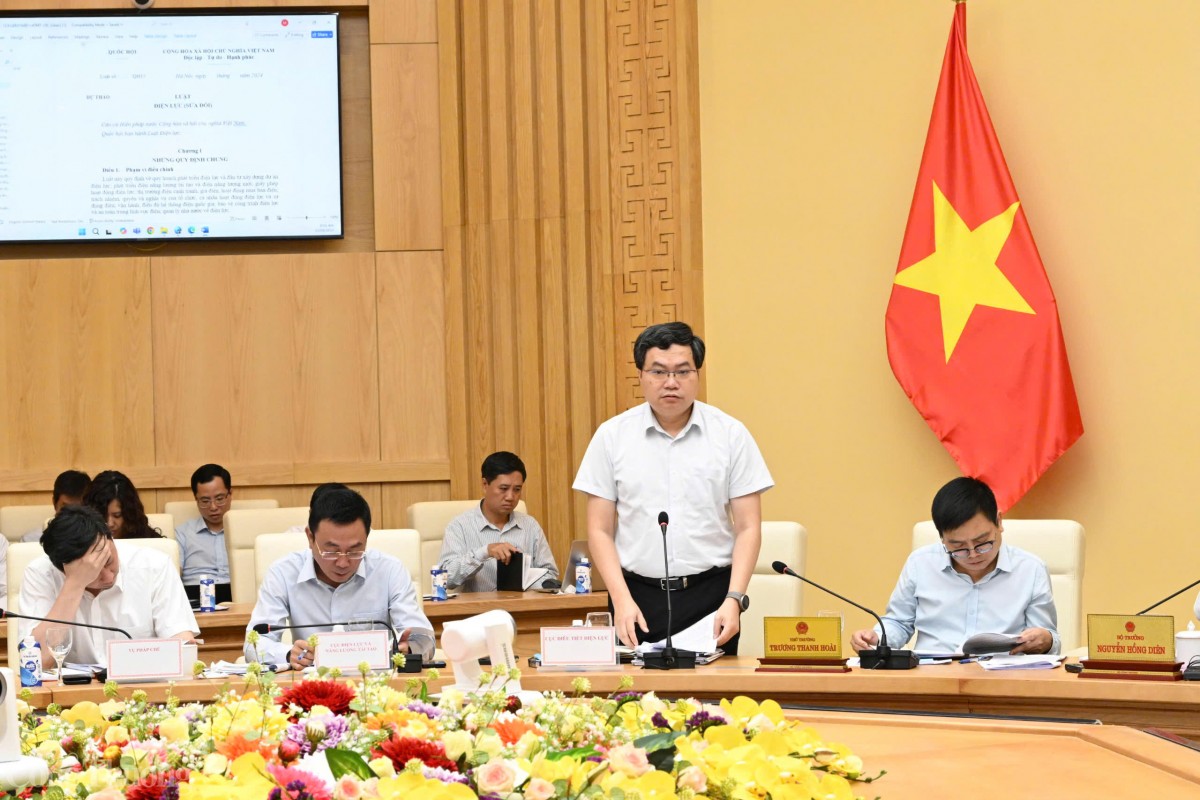 Cuộc họp về dự án Luật Điện lực (sửa đổi)