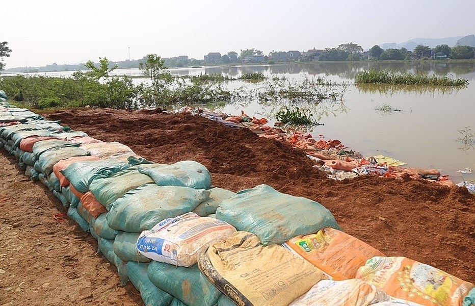 Thanh Hóa chỉ đạo xử lý khẩn cấp sự cố thấm dột đê sông Hoạt Thanh Hóa chỉ đạo xử lý khẩn cấp sự cố thấm dột đê sông Hoạt