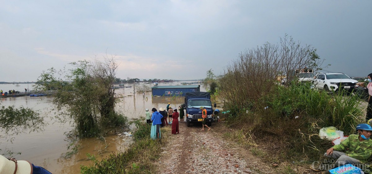 Hải Dương: Khẩn trương hỗ trợ, thu hoạch cá để giảm thiểu thiệt hại