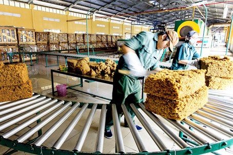 Giá xuất khẩu tăng cao, ngành cao su hướng tới mục tiêu 3 -3,5 tỷ USD Giá xuất khẩu tăng cao, ngành cao su hướng tới mục tiêu 3 -3,5 tỷ USD