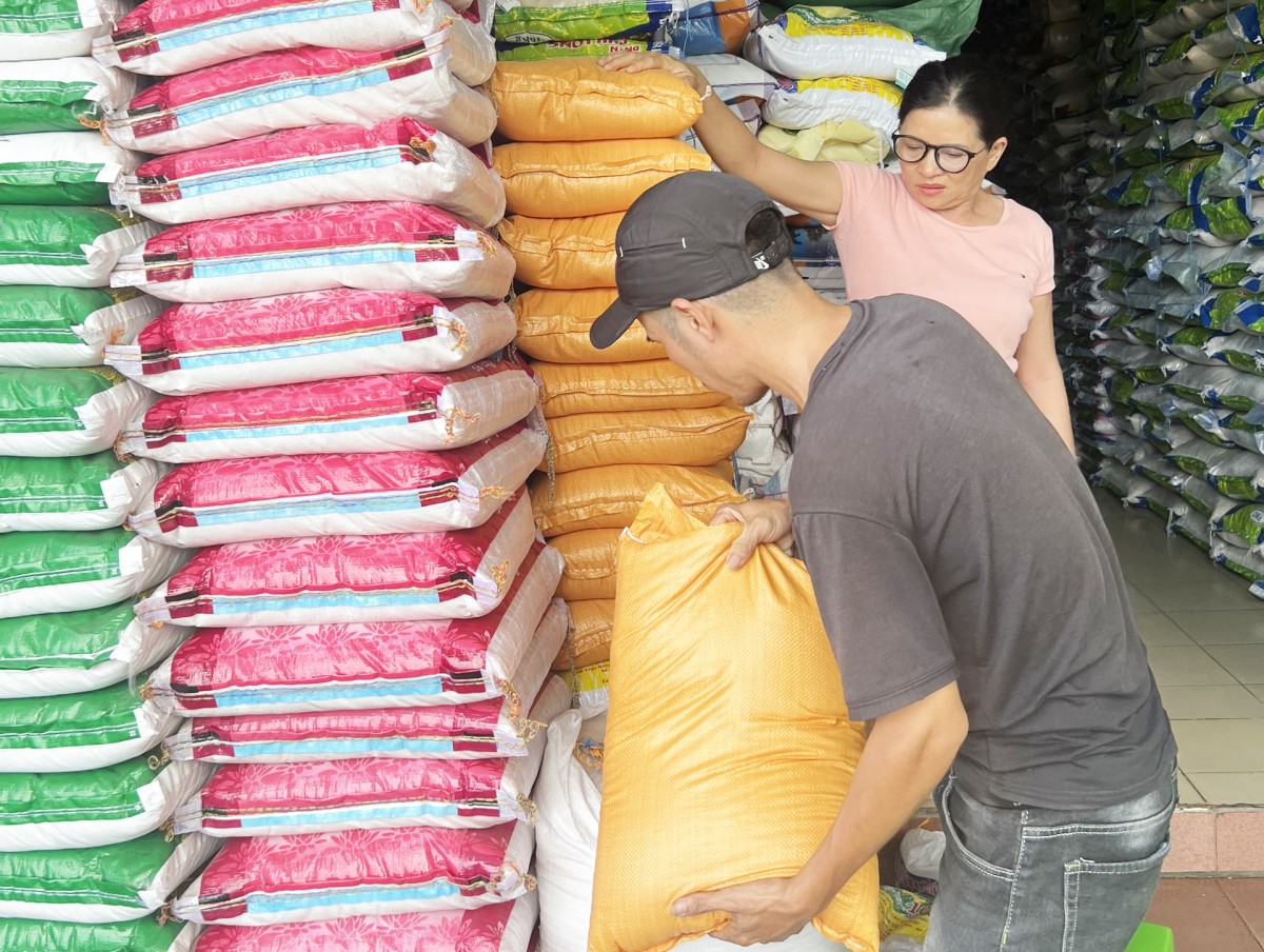 Thừa Thiên Huế: Sẵn sàng hàng hoá thiết yếu phòng, chống lụt bão năm 2024 Thừa Thiên Huế: Sẵn sàng hàng hoá thiết yếu phòng, chống lụt bão năm 2024