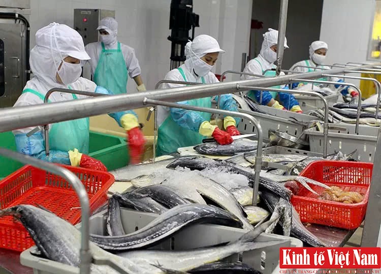 Tăng cường hợp tác xúc tiến thương mại giữa Việt Nam và Nga