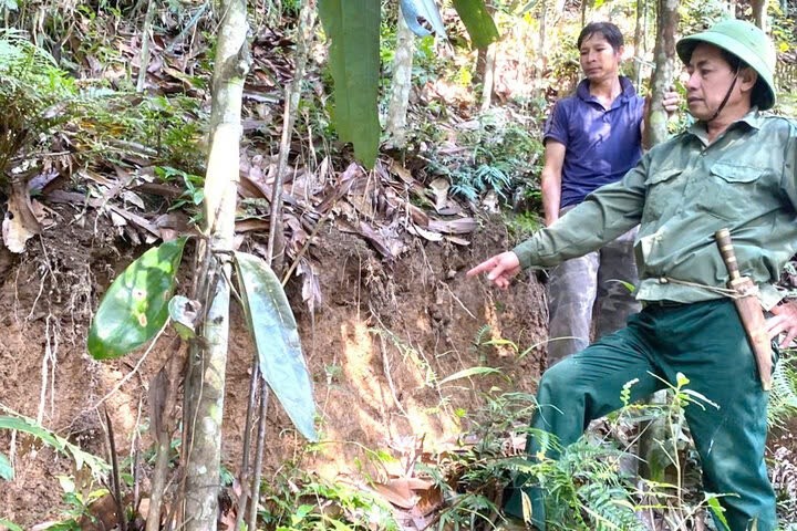 Khu vực người dân phát hiện vết nứt, nguy cơ sạt lở cao (Ảnh: Báo Lào Cai) Khu vực người dân phát hiện vết nứt, nguy cơ sạt lở cao (Ảnh: Báo Lào Cai)