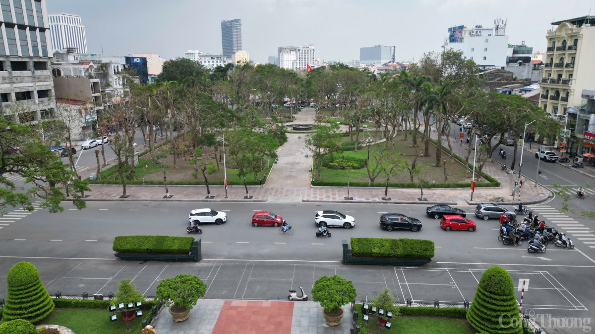 Hải Phòng hoàn thành trồng, dựng lại cây xanh bị gãy, đổ trên nhiều tuyến phố Hải Phòng hoàn thành trồng, dựng lại cây xanh bị gãy, đổ trên nhiều tuyến phố