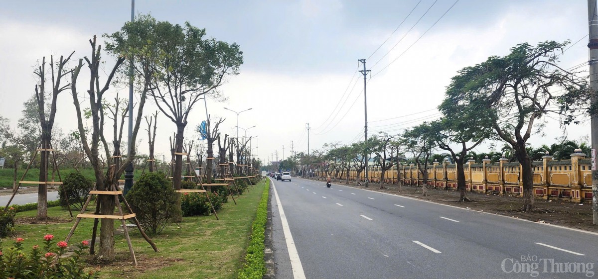 Hải Phòng hoàn thành trồng, dựng lại cây xanh bị gãy, đổ trên nhiều tuyến phố Hải Phòng hoàn thành trồng, dựng lại cây xanh bị gãy, đổ trên nhiều tuyến phố