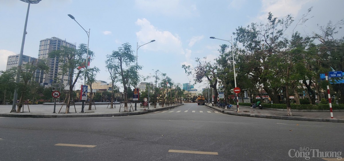 Hải Phòng hoàn thành trồng, dựng lại cây xanh bị gãy, đổ trên nhiều tuyến phố Hải Phòng hoàn thành trồng, dựng lại cây xanh bị gãy, đổ trên nhiều tuyến phố