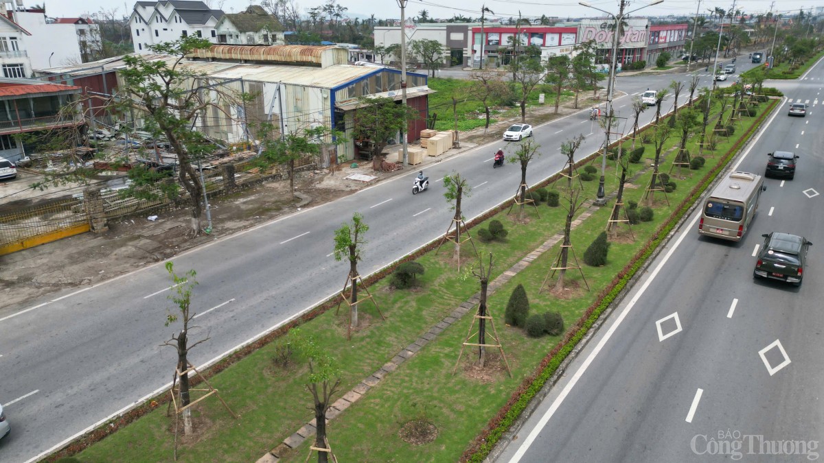 Hải Phòng hoàn thành trồng, dựng lại cây xanh bị gãy, đổ trên nhiều tuyến phố Hải Phòng hoàn thành trồng, dựng lại cây xanh bị gãy, đổ trên nhiều tuyến phố