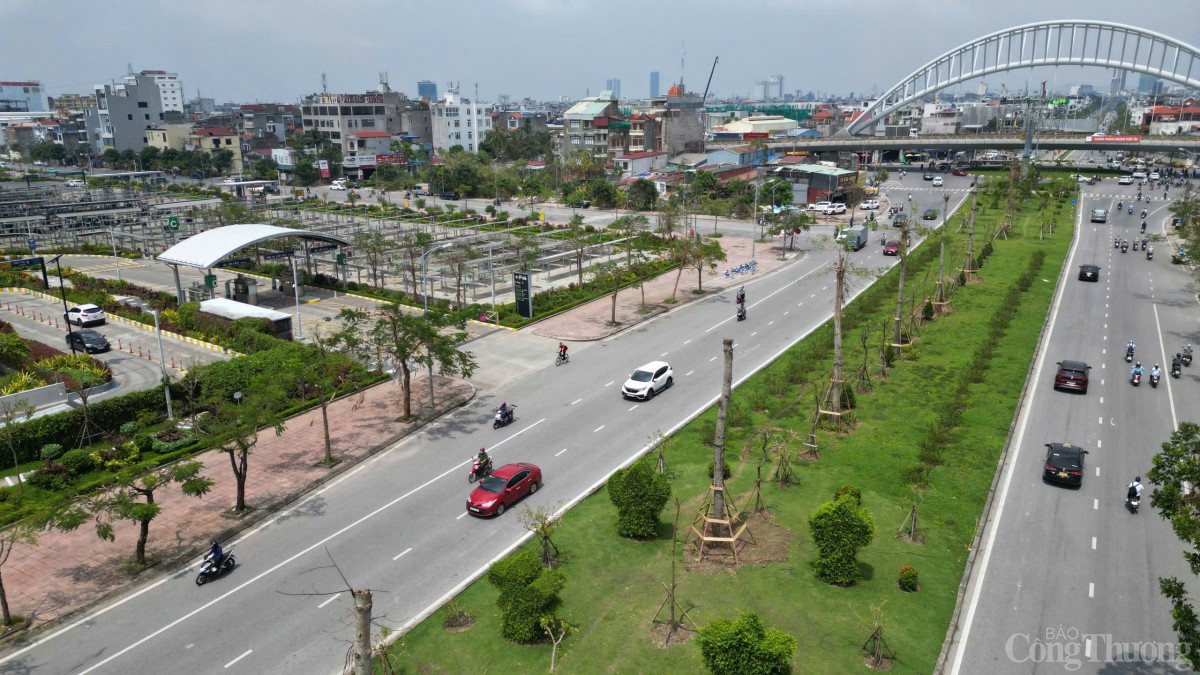 Hải Phòng hoàn thành trồng, dựng lại cây xanh bị gãy, đổ trên nhiều tuyến phố Hải Phòng hoàn thành trồng, dựng lại cây xanh bị gãy, đổ trên nhiều tuyến phố