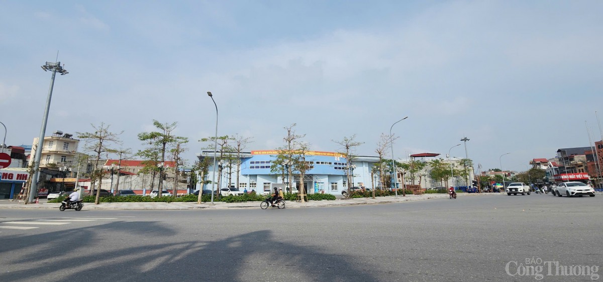 Hải Phòng hoàn thành trồng, dựng lại cây xanh bị gãy, đổ trên nhiều tuyến phố Hải Phòng hoàn thành trồng, dựng lại cây xanh bị gãy, đổ trên nhiều tuyến phố