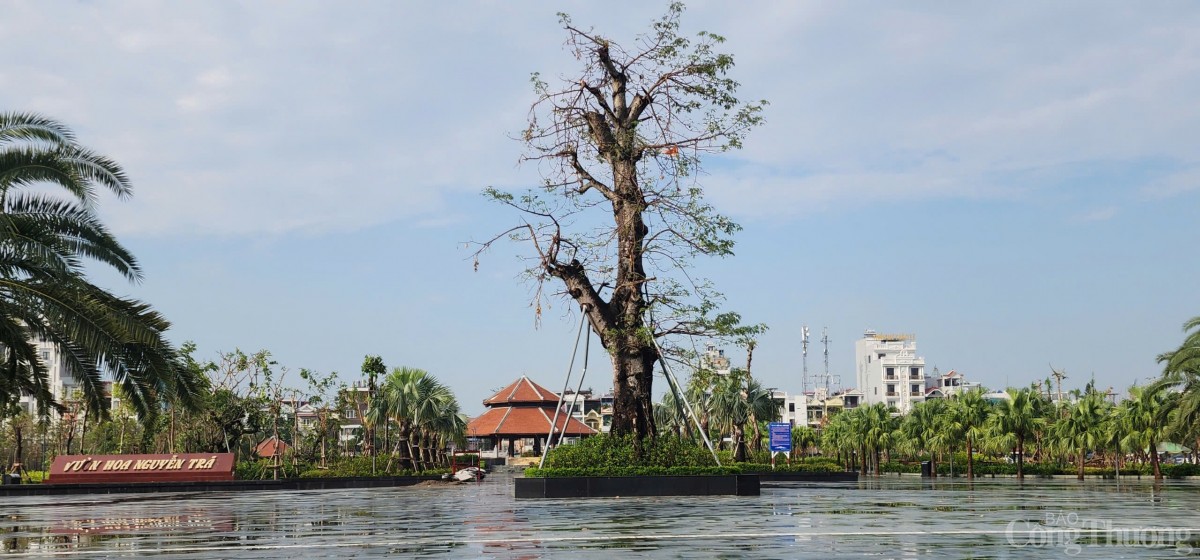 Hải Phòng hoàn thành trồng, dựng lại cây xanh bị gãy, đổ trên nhiều tuyến phố Hải Phòng hoàn thành trồng, dựng lại cây xanh bị gãy, đổ trên nhiều tuyến phố