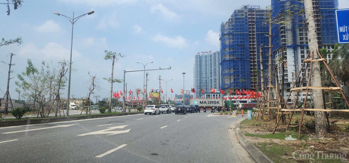 Hải Phòng hoàn thành trồng, dựng lại cây xanh bị gãy, đổ trên nhiều tuyến phố Hải Phòng hoàn thành trồng, dựng lại cây xanh bị gãy, đổ trên nhiều tuyến phố