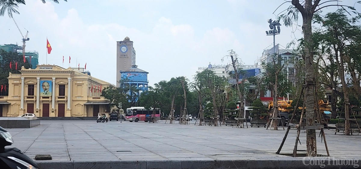 Hải Phòng hoàn thành trồng, dựng lại cây xanh bị gãy, đổ trên nhiều tuyến phố Hải Phòng hoàn thành trồng, dựng lại cây xanh bị gãy, đổ trên nhiều tuyến phố