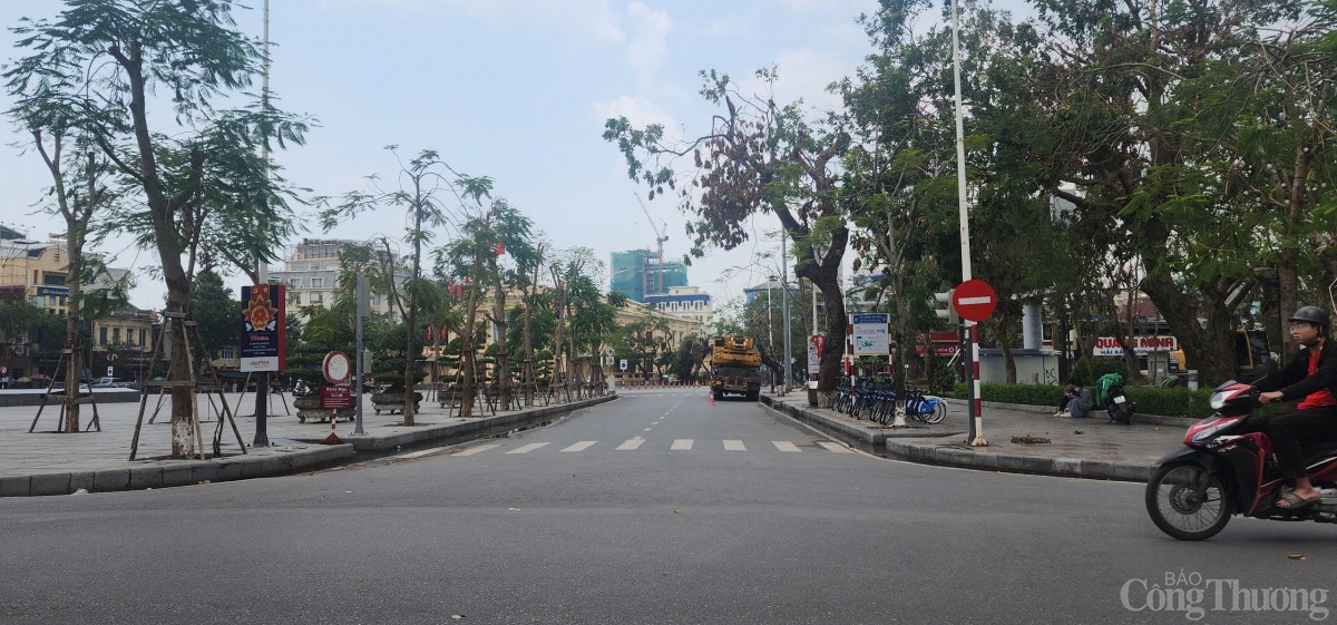 Hải Phòng hoàn thành trồng, dựng lại cây xanh bị gãy, đổ trên nhiều tuyến phố Hải Phòng hoàn thành trồng, dựng lại cây xanh bị gãy, đổ trên nhiều tuyến phố