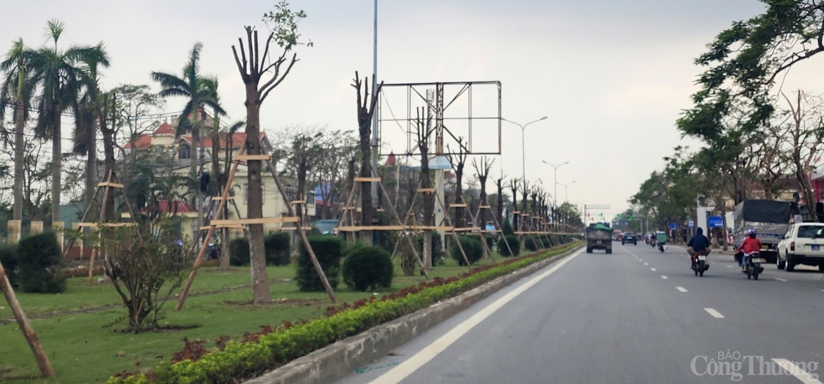 Hải Phòng hoàn thành trồng, dựng lại cây xanh bị gãy, đổ trên nhiều tuyến phố Hải Phòng hoàn thành trồng, dựng lại cây xanh bị gãy, đổ trên nhiều tuyến phố