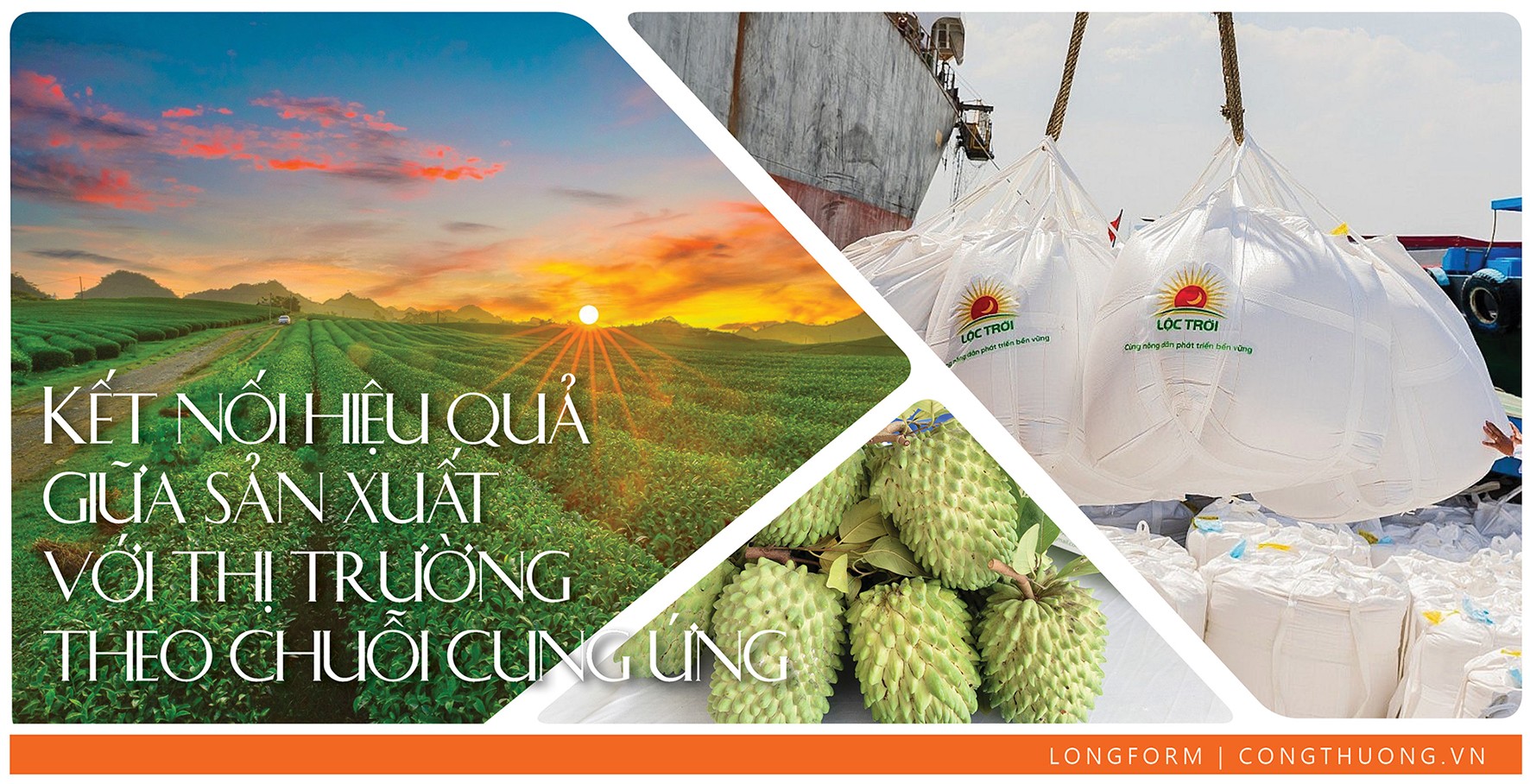 Longform | Kết nối hiệu quả giữa sản xuất với thị trường theo chuỗi cung ứng Longform | Kết nối hiệu quả giữa sản xuất với thị trường theo chuỗi cung ứng