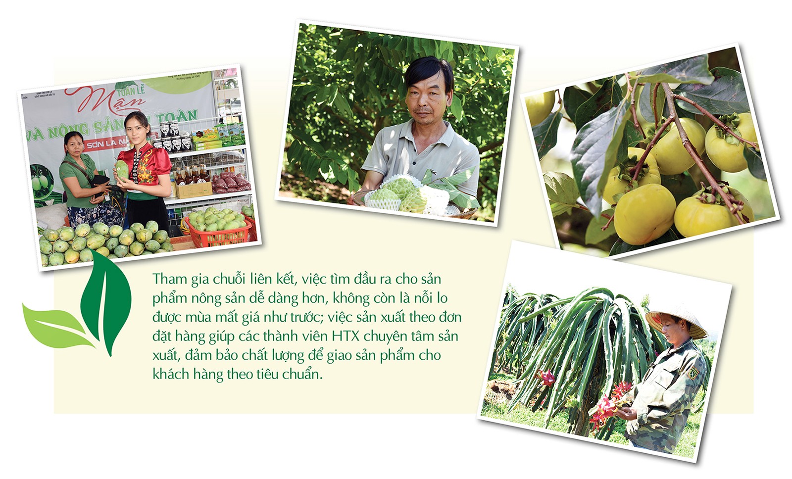 Longform | Kết nối hiệu quả giữa sản xuất với thị trường theo chuỗi cung ứng Longform | Kết nối hiệu quả giữa sản xuất với thị trường theo chuỗi cung ứng