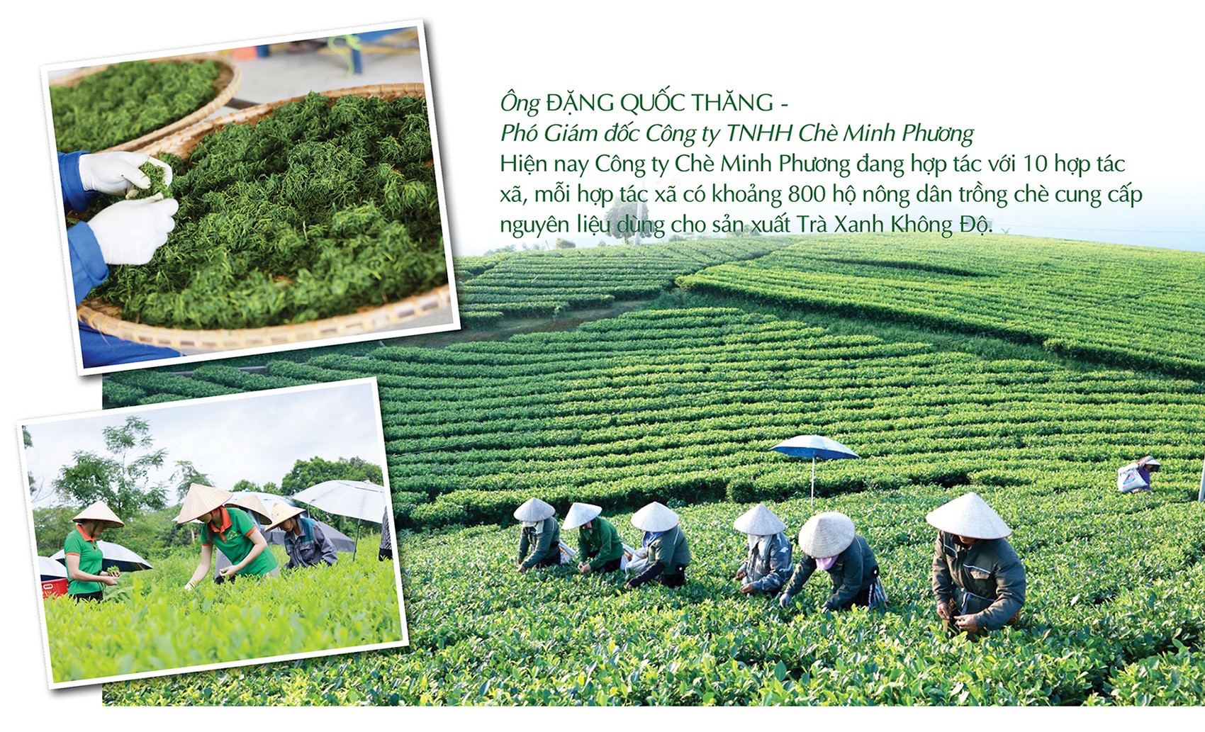 Longform | Kết nối hiệu quả giữa sản xuất với thị trường theo chuỗi cung ứng Longform | Kết nối hiệu quả giữa sản xuất với thị trường theo chuỗi cung ứng