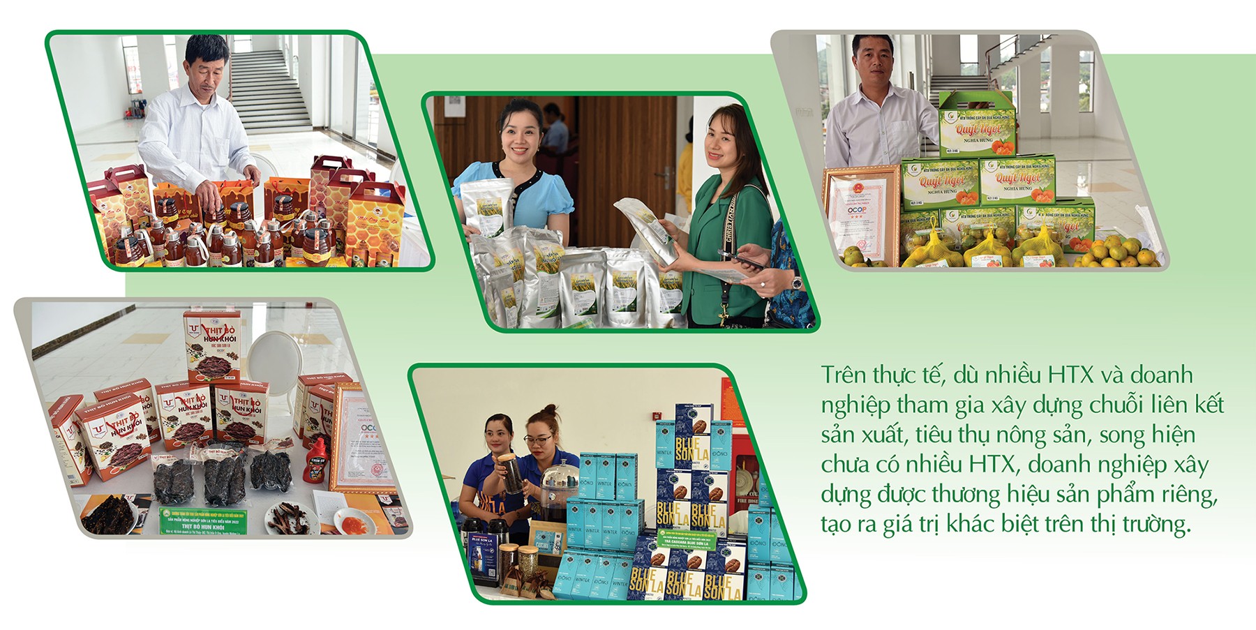 Longform | Kết nối hiệu quả giữa sản xuất với thị trường theo chuỗi cung ứng Longform | Kết nối hiệu quả giữa sản xuất với thị trường theo chuỗi cung ứng