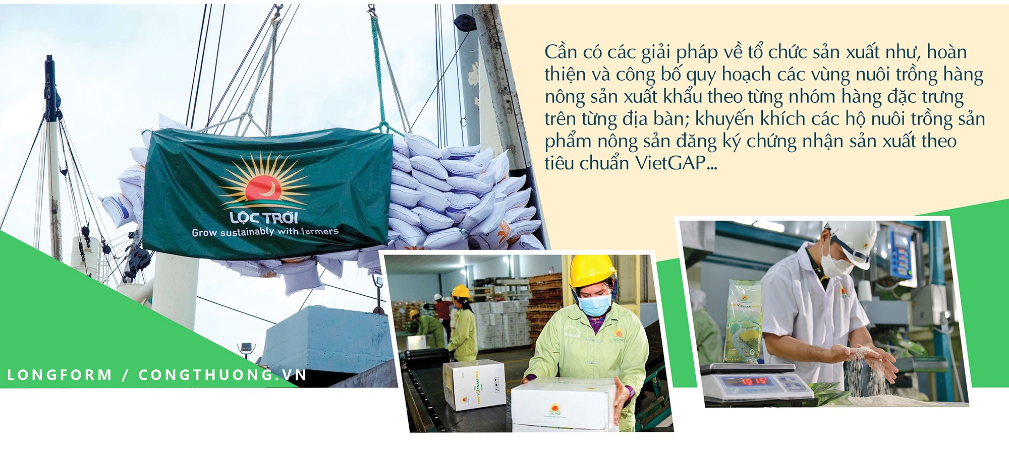 Longform | Kết nối hiệu quả giữa sản xuất với thị trường theo chuỗi cung ứng Longform | Kết nối hiệu quả giữa sản xuất với thị trường theo chuỗi cung ứng