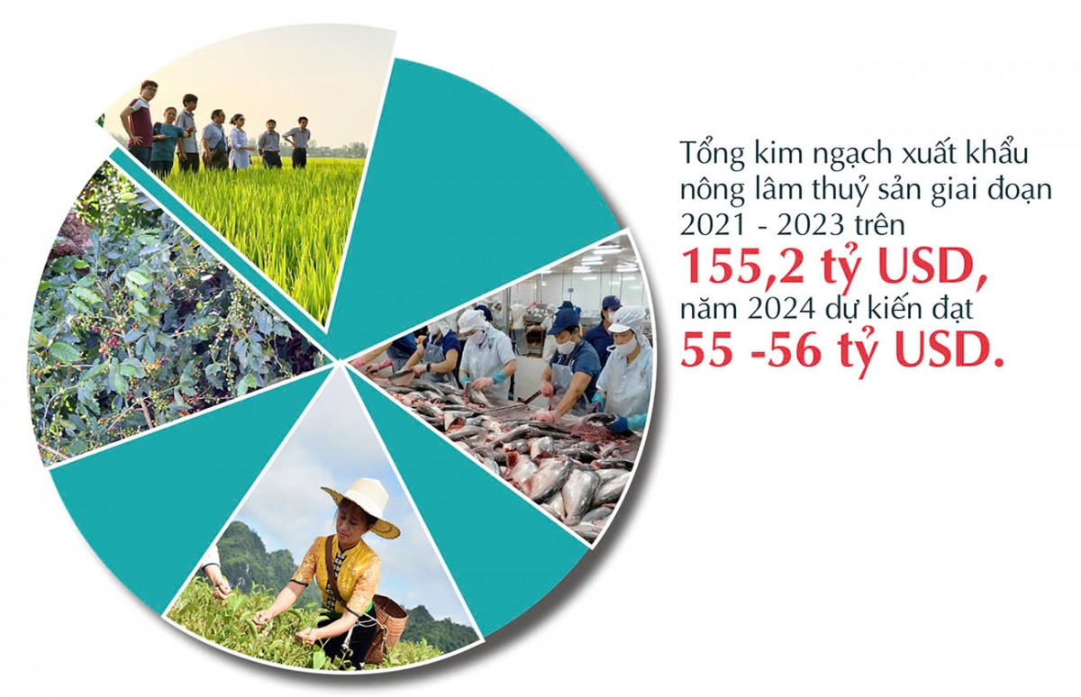 Longform | Kết nối hiệu quả giữa sản xuất với thị trường theo chuỗi cung ứng Longform | Kết nối hiệu quả giữa sản xuất với thị trường theo chuỗi cung ứng