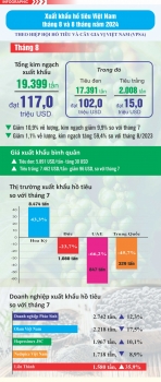 Infographic: Xuất khẩu hồ tiêu Việt Nam tháng 8 và 8 tháng năm 2024