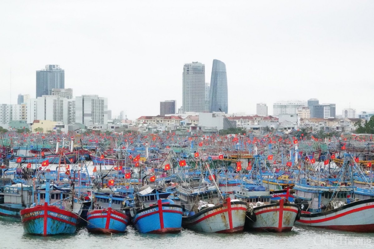 Áp thấp nhiệt đới mạnh lên, Đà Nẵng còn 62 tàu thuyền với 617 lao động đang hành nghề trên biển Áp thấp nhiệt đới mạnh lên, Đà Nẵng còn 62 tàu thuyền với 617 lao động đang hành nghề trên biển