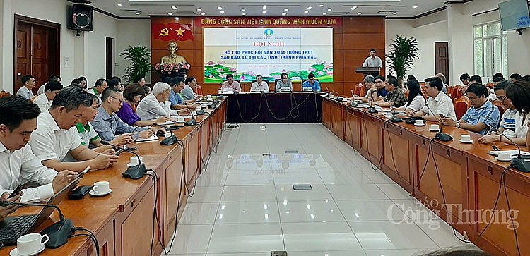Toàn cảnh Hội nghị Toàn cảnh Hội nghị