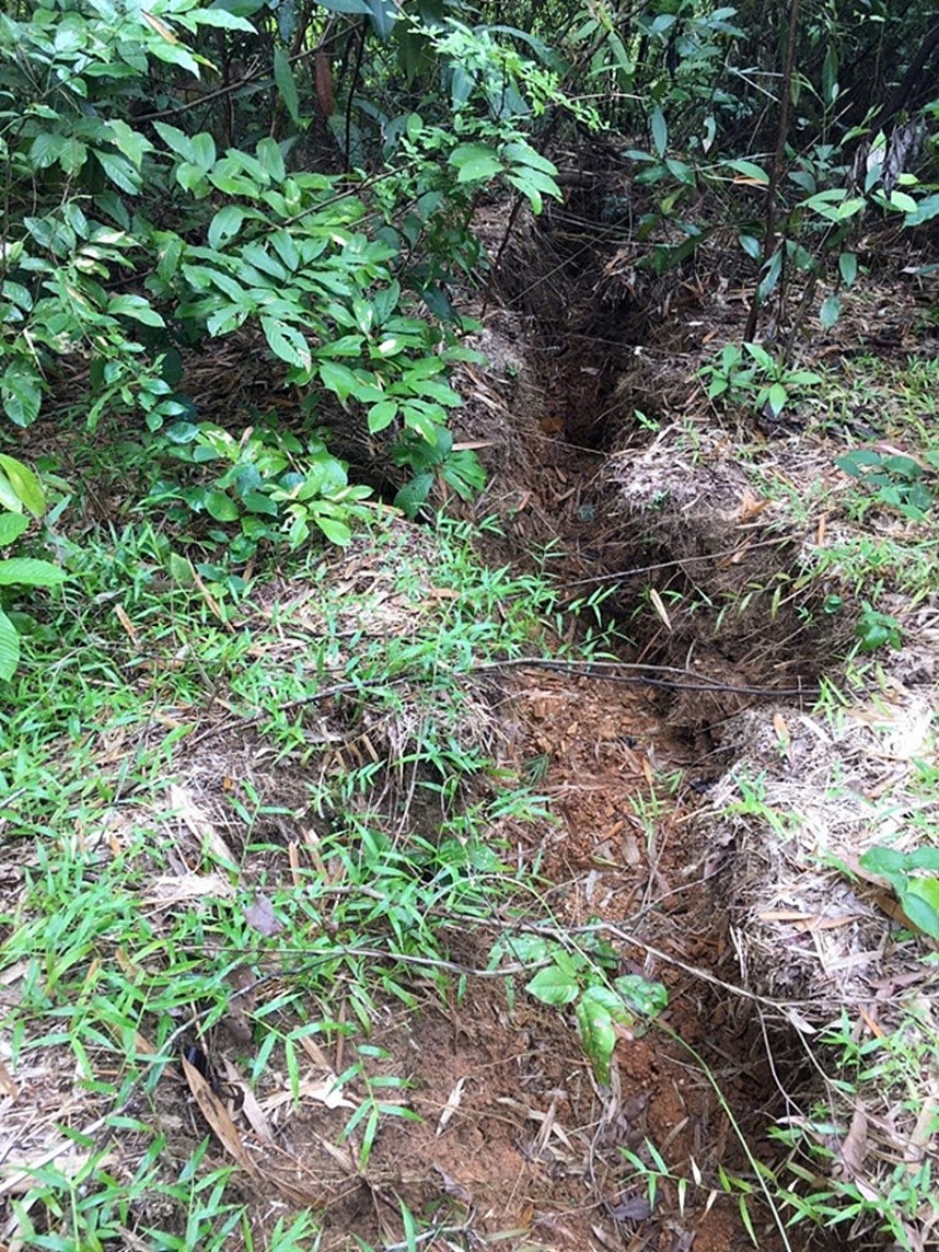 Mưa lớn trên diện rộng, khiến nhiều huyện miền núi tỉnh Thanh Hóa có nguy cơ bị sạt lở Mưa lớn trên diện rộng, khiến nhiều huyện miền núi tỉnh Thanh Hóa có nguy cơ bị sạt lở