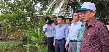 Lúa ngập úng nghiêm trọng, Chủ tịch UBND tỉnh Bạc Liêu chỉ đạo khẩn