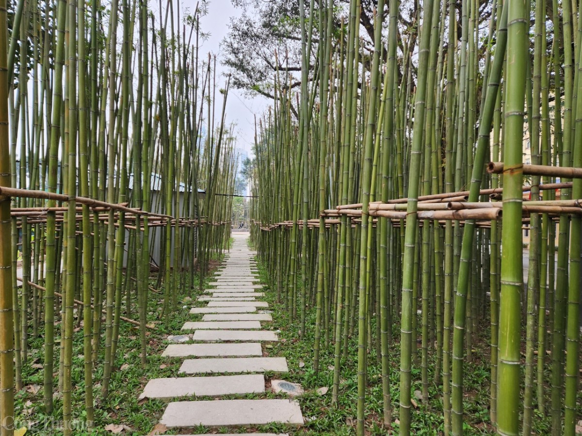 Bộ Tư pháp đề nghị Bộ Xây dựng tuân thủ quy định chống tham nhũng trong xây dựng pháp luật Bộ Tư pháp đề nghị Bộ Xây dựng tuân thủ quy định chống tham nhũng trong xây dựng pháp luật