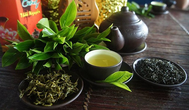 Hỗ trợ bảo vệ thương hiệu chè Tân Cương, giữ gìn danh xưng 'đệ nhất trà' Hỗ trợ bảo vệ thương hiệu chè Tân Cương, giữ gìn danh xưng 'đệ nhất trà'