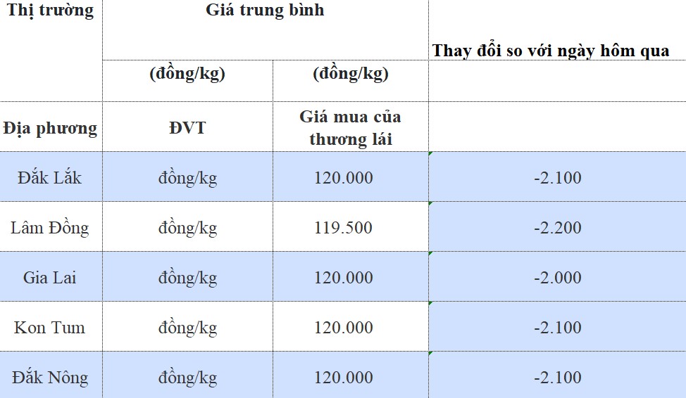 Giá cà phê hôm nay 22/9/2024: Giá cà phê hôm nay 22/9/2024: