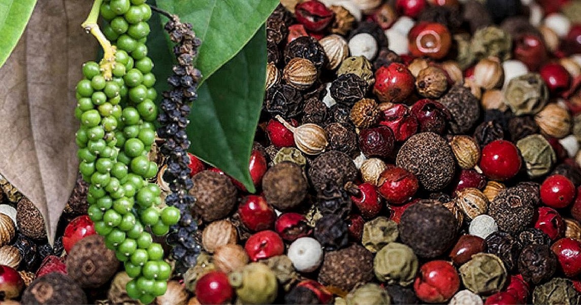 Thị trường hồ tiêu đang chứng kiến những diễn biến hết sức tích cực