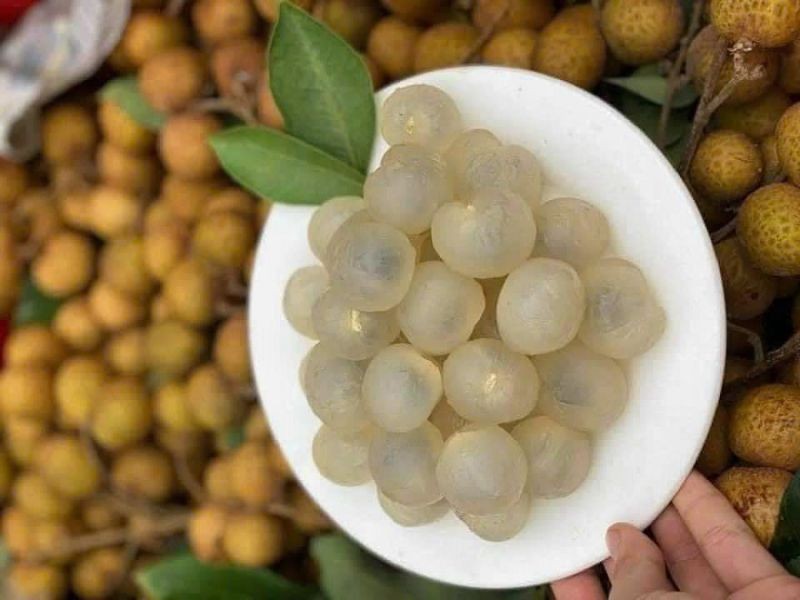 Nhãn lồng Hưng Yên: Từ bảo tồn nguồn gen đến khẳng định vị thế trên thị trường Nhãn lồng Hưng Yên: Từ bảo tồn nguồn gen đến khẳng định vị thế trên thị trường