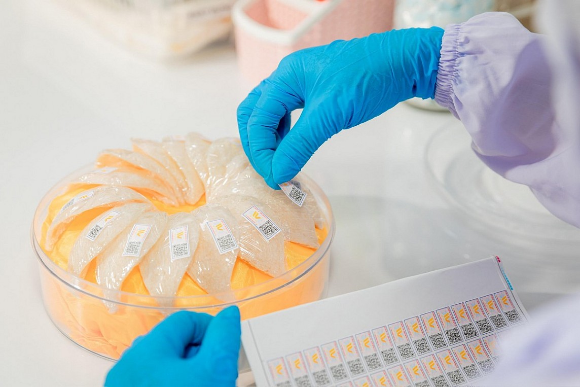 Sản phẩm tổ yến của Công ty Hải Yến Nha Trang xuất khẩu lô hàng tổ Yến sào chất lượng cao sang Trung Quốc. Sản phẩm tổ yến của Công ty Hải Yến Nha Trang xuất khẩu lô hàng tổ Yến sào chất lượng cao sang Trung Quốc.