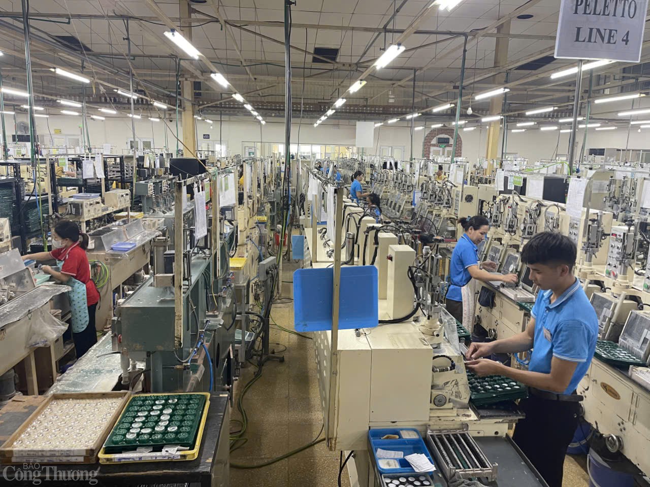 Hòa Bình: Những tín hiệu vui từ thị trường xuất khẩu