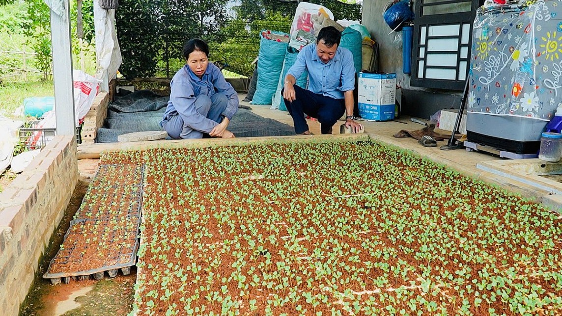 Bảo Thắng: Thiệt hại hơn 300 tỷ đồng, tập trung chăm lo đời sống đồng bào sau mưa bão Bảo Thắng: Thiệt hại hơn 300 tỷ đồng, tập trung chăm lo đời sống đồng bào sau mưa bão