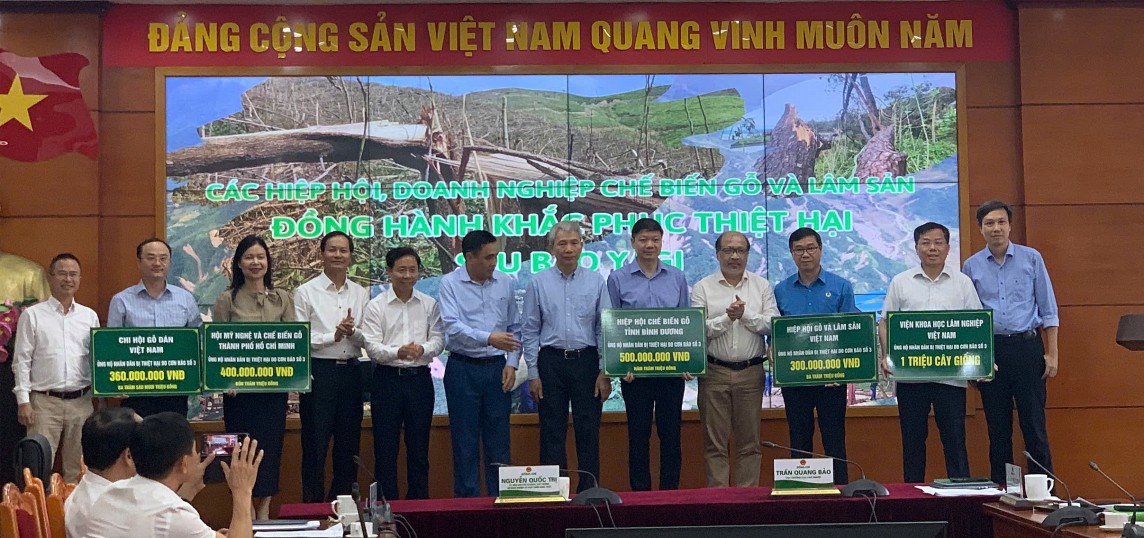 Cục Lâm nghiệp công bố số tiền quyên góp của cộng đồng doanh nghiệp để hỗ trợ người dân và công nhân lâm nghiệp bị thiệt hại do bão số 3 gây ra 