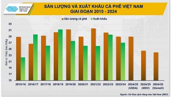 Hướng đi giúp cà phê Việt vững bước trên 'hành trình giá’ mới