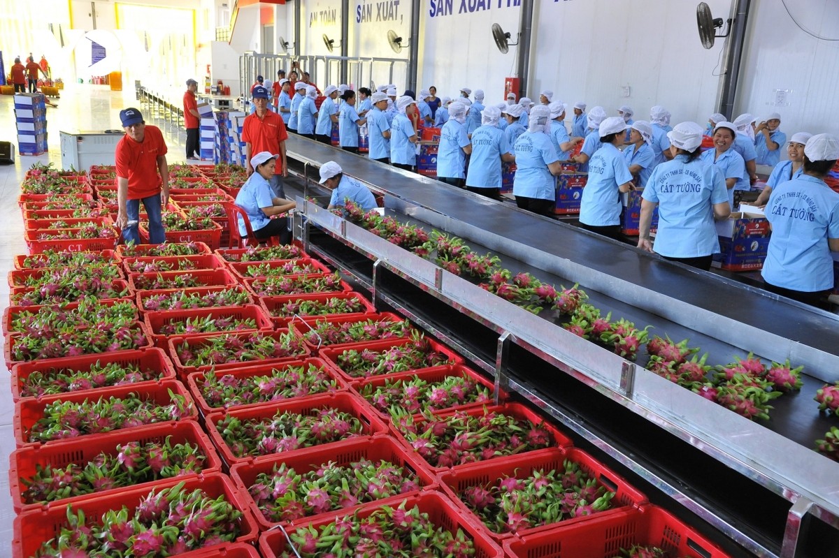 Hợp tác thương mại Việt Nam - Trung Quốc: Động lực phát triển thực chất và hiệu quả Hợp tác thương mại Việt Nam - Trung Quốc: Động lực phát triển thực chất và hiệu quả