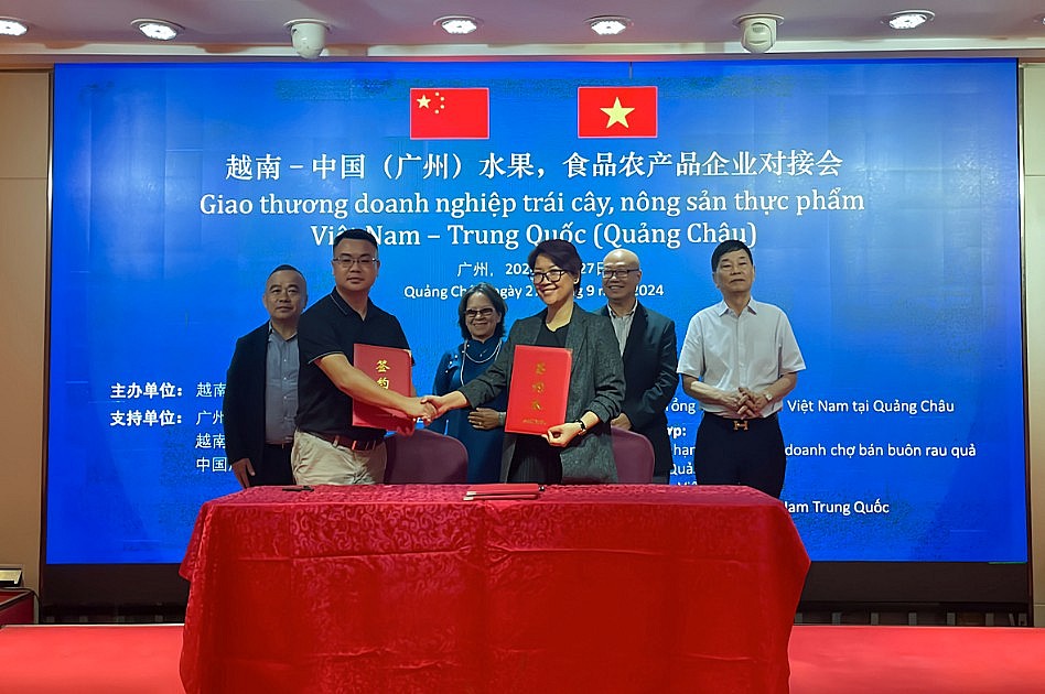 Doanh nghiệp Việt chủ động thúc đẩy xuất khẩu trái dừa tươi vào thị trường Trung Quốc Doanh nghiệp Việt chủ động thúc đẩy xuất khẩu trái dừa tươi vào thị trường Trung Quốc