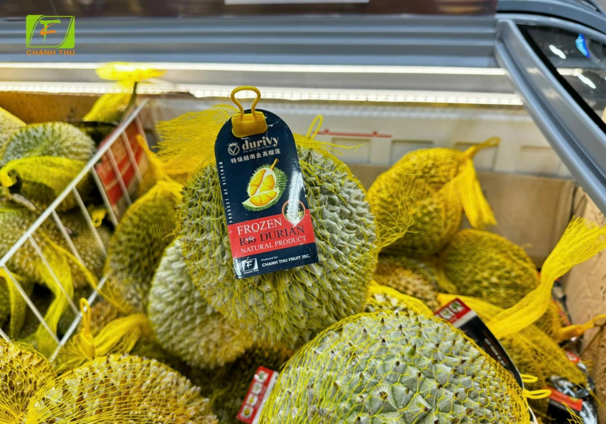 Nâng tầm vị thế Việt Nam trên bản đồ nguồn cung trái cây thế giới Nâng tầm vị thế Việt Nam trên bản đồ nguồn cung trái cây thế giới