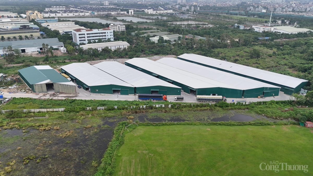 Dự án nhà ở treo 20 năm bị ‘hô biến’ thành nhà xưởng rộng hàng chục nghìn m2