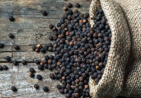 Giá tiêu quý 4 có thể chịu áp lực khi cà phê vào vụ thu hoạch Giá tiêu quý 4 có thể chịu áp lực khi cà phê vào vụ thu hoạch