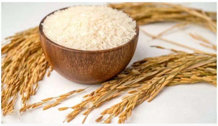 Giá lúa gạo hôm nay 1/10/2024: Xu hướng giảm, xuất khẩu giữ mức ổn định Giá lúa gạo hôm nay 1/10/2024: Xu hướng giảm, xuất khẩu giữ mức ổn định