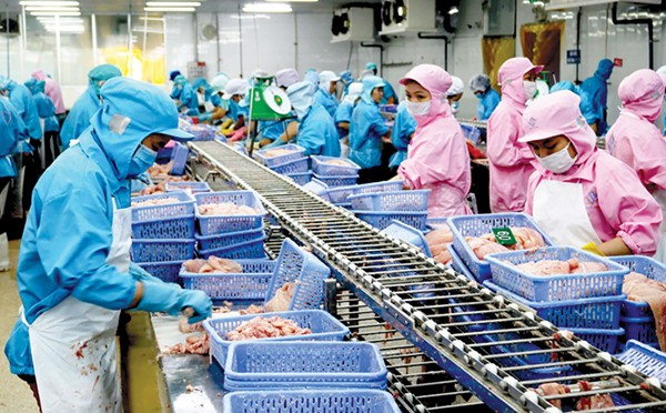 Cần Thơ: Kim ngạch xuất khẩu hàng hóa đạt gần 1.800 triệu USD Cần Thơ: Kim ngạch xuất khẩu hàng hóa đạt gần 1.800 triệu USD