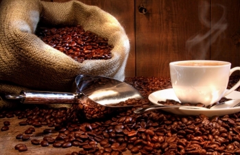 Dự báo giá cà phê ngày mai (3/10/2024): Xu hướng giảm có xảy ra?