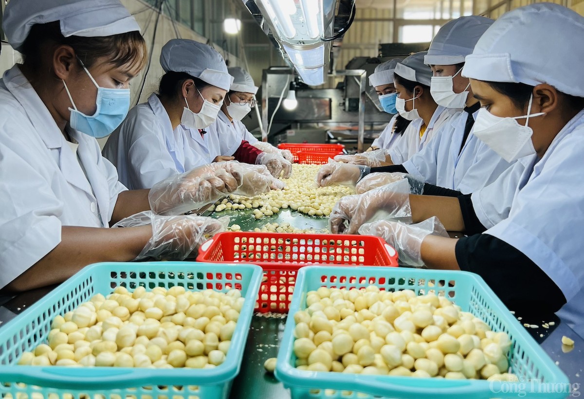 Sớm hoàn thành và ban hành bộ chỉ số giám sát thực thi FTA (FTA Index) Sớm hoàn thành và ban hành bộ chỉ số giám sát thực thi FTA (FTA Index)