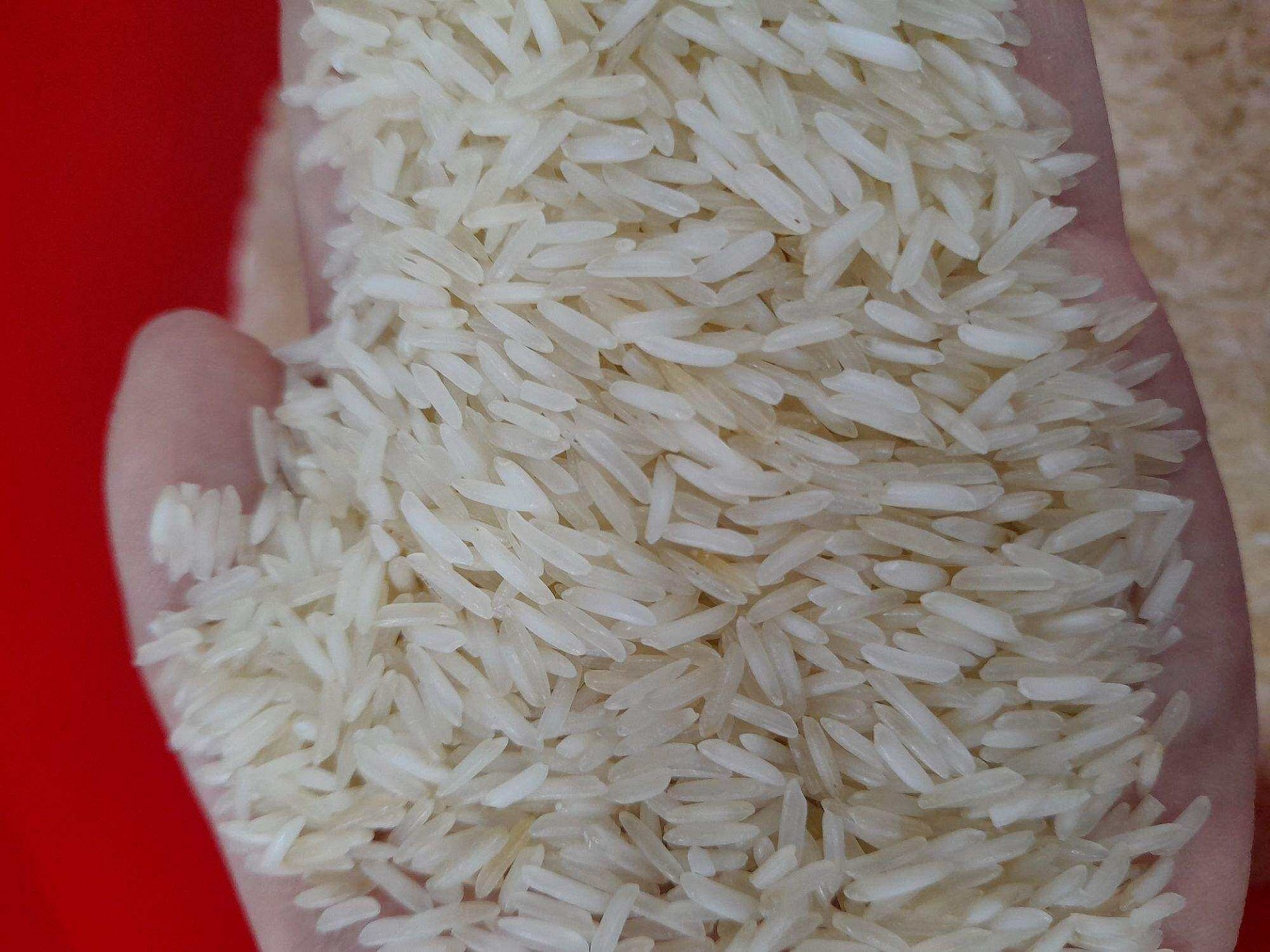 Chi gần 1 tỷ USD, Việt Nam nhập khẩu gạo để làm gì? Chi gần 1 tỷ USD, Việt Nam nhập khẩu gạo để làm gì?